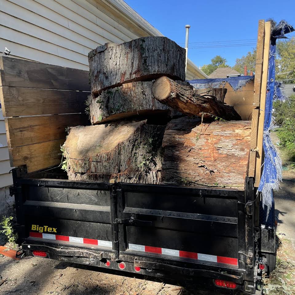 Jacobs Tree Experts Image